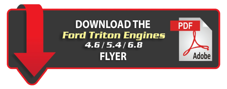 Ford Triton PDF